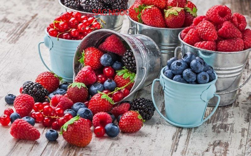 Quả mọng cung cấp anthocyanin (OPCs)