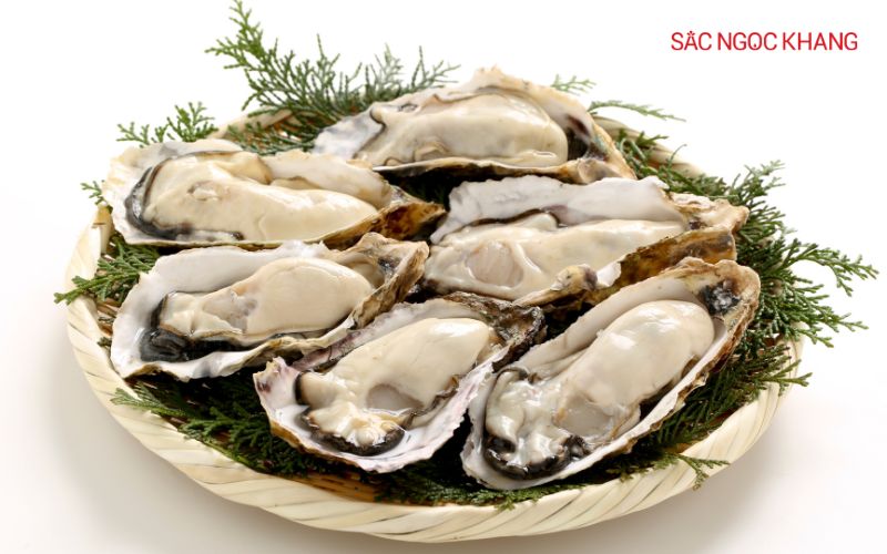 Hàu chứa hàm lượng cao glycine và proline
