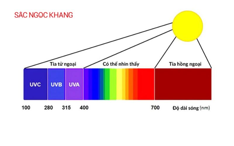 tia UV