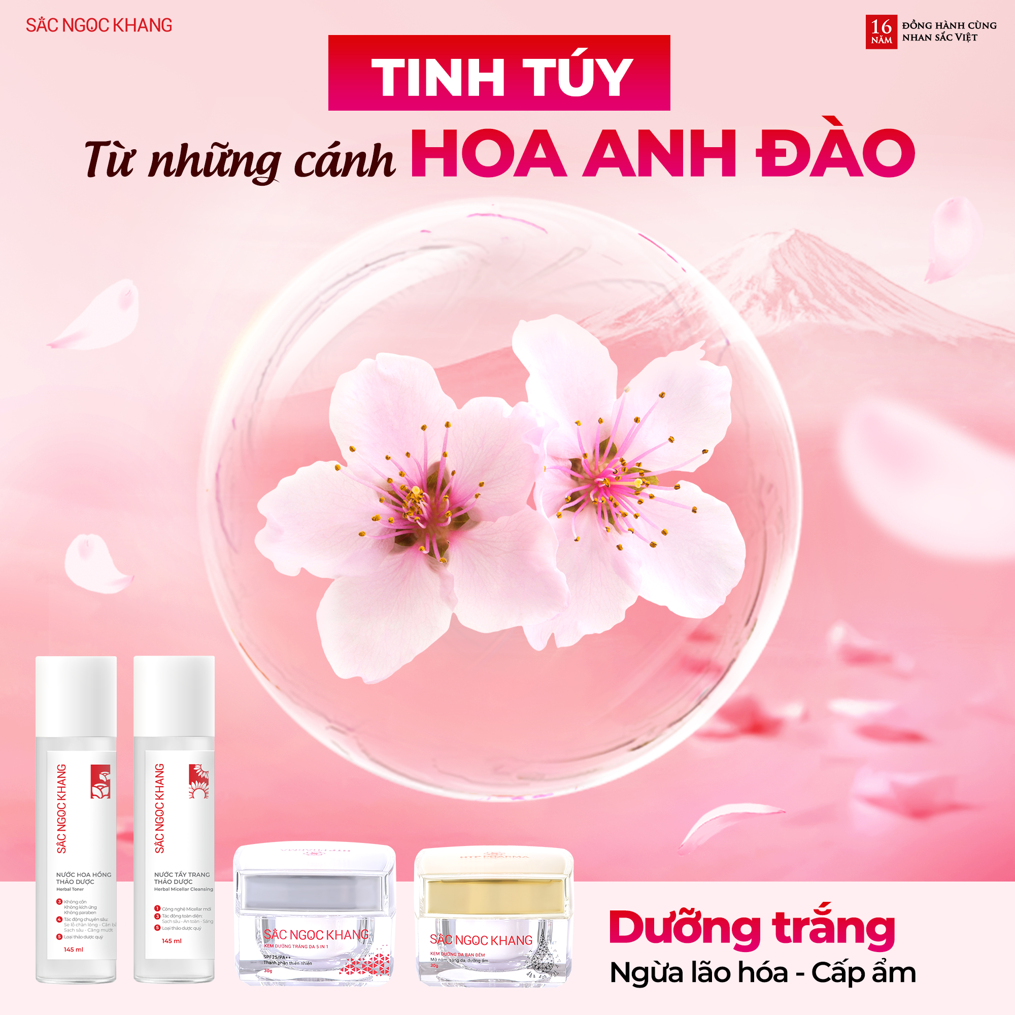 Bộ sản phẩm hoa anh đào Sắc Ngọc Khang