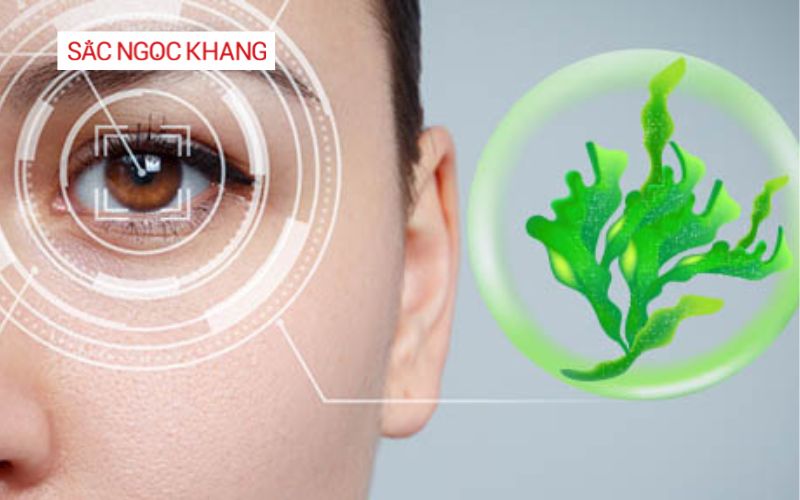vi tảo lục