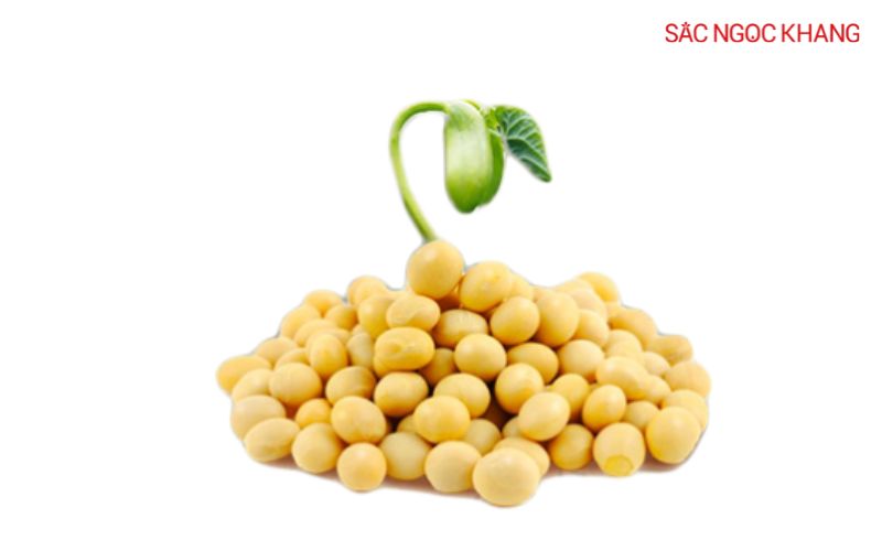 viên uống mầm đậu nành
