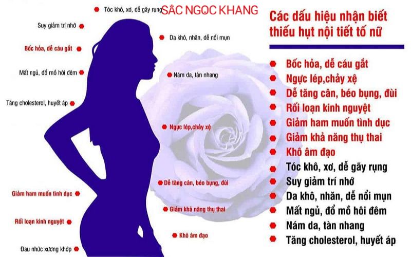 Viên uống nội tiết tố