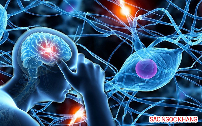 Vitamin tổng hợp cho người suy nhược cơ thể