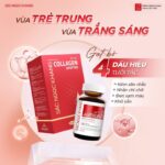 Combo Cao Cấp Dưỡng Da Căng Mịn - Trắng Sáng Sắc Ngọc Khang - Ảnh 2