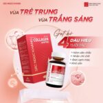 Combo Cao Cấp Dưỡng Da Căng Mịn - Trắng Sáng Sắc Ngọc Khang - Ảnh 3