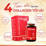 Combo 3 Hộp Nước Uống Collagen Dipeptide Mờ Nếp Nhăn - Dưỡng Ẩm Mịn Sắc Ngọc Khang - Ảnh 3