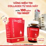 Combo 3 Hộp Nước Uống Collagen Dipeptide Mờ Nếp Nhăn - Dưỡng Ẩm Mịn Sắc Ngọc Khang - Ảnh 2
