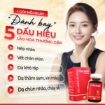 Combo 3 Hộp Nước Uống Collagen Dipeptide Mờ Nếp Nhăn - Dưỡng Ẩm Mịn Sắc Ngọc Khang - Ảnh 4