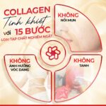Combo 3 Hộp Nước Uống Collagen Dipeptide Mờ Nếp Nhăn - Dưỡng Ẩm Mịn Sắc Ngọc Khang - Ảnh 6